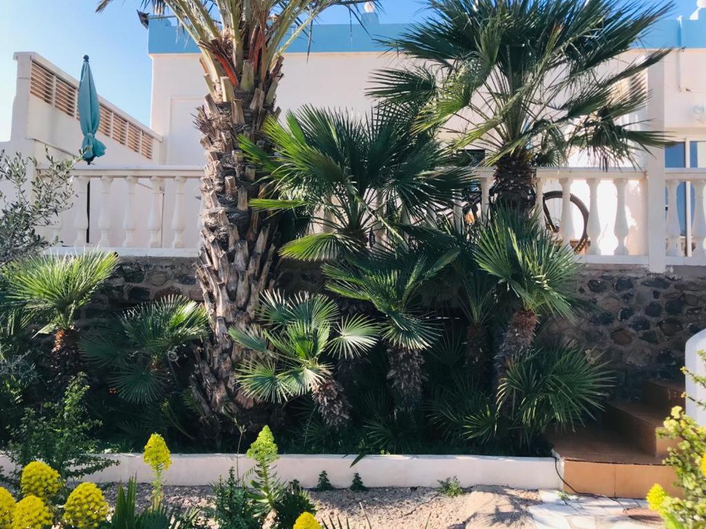Bungalows & Estudios Los Escullos Almeria Ngoại thất bức ảnh