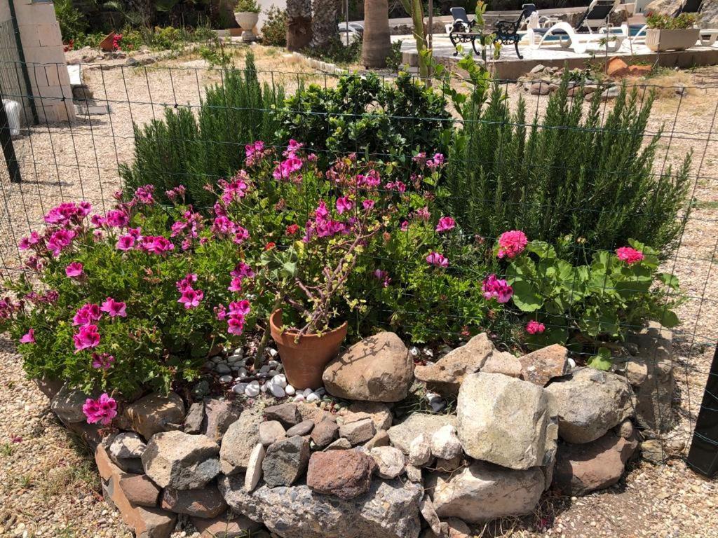 Bungalows & Estudios Los Escullos Almeria Ngoại thất bức ảnh